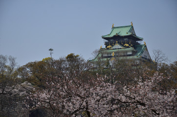 Fototapeta premium Castle on the hill