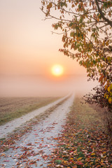 Sonnenaufgang am Feldweg