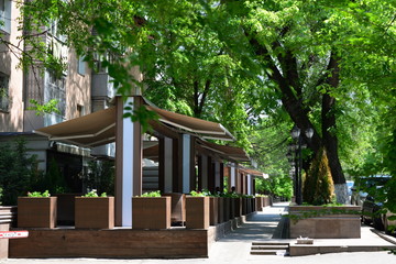 Almaty city streets green trees
