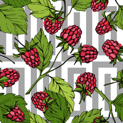 Vector Raspberry healthy food isolated. Red and green engraved ink art. Seamless background pattern.