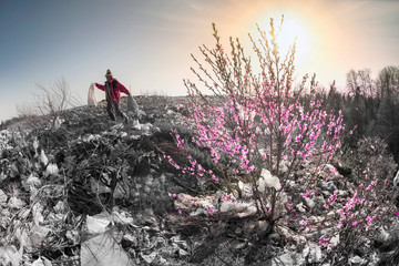 Fototapety na wymiar - Fototapeta24.pl