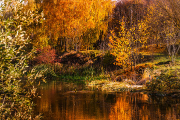 Beautiful autumn park with colorful trees reflected in the water