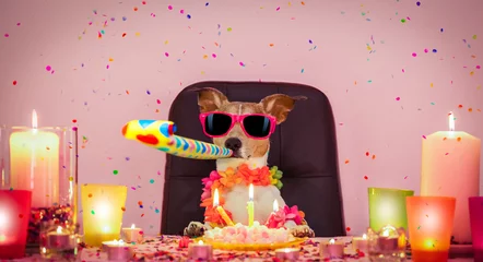 Printed roller blinds Crazy dog happy birthday dog