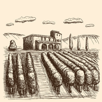 Italian vineyards drawn stroke black and white. vector illustration