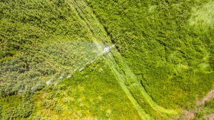 sprinkler irrigation seen from above with drone