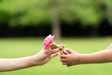 ピンクのカーネーションを手渡す親子の手