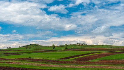 Spring green field agriculture land white puffy clouds 