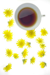 タンポポの珈琲