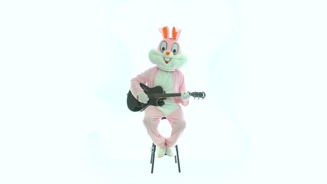 Man in easter bunny costume plays music on guitar, celebrates easter, have fun on white background. Funny hare or rabbit guitarist sits on chair, smiles, playing rock