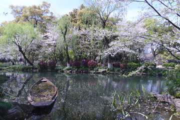 Hangzhou West Lake Scenery