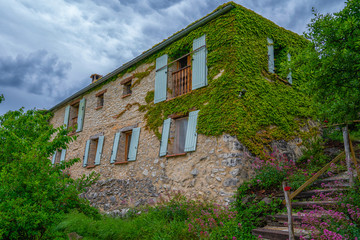 Exterior of a house in ivy. A plants for decorating wall of a Farm house. Old building with windows cover with creeper plant wall background. Picturesque countryside of France. Eco tourism.