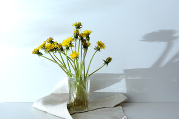 A bouquet of dandelions in a glass of water on a linen towel. Light from the window.