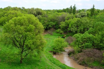Fototapeta na wymiar Green meadows of Kazakhstan in the rural Almaty