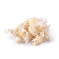 Yamabushitake mushroom or lion mane mushroom isolated over white background. © kaiskynet