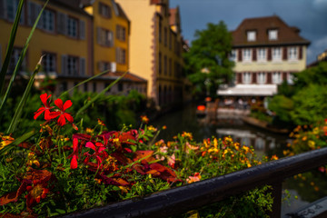 Fototapeta na wymiar View of the most characteristic and particular city of Southern France with its houses that recall distant times. Floral traditional town Colmar with charming old streets in Alsace region.