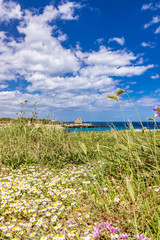 Archaeological site and tourist resort of Roca Vecchia, Puglia, Salento, Italy. Turquoise sea, clear blue sky, rocks, sun, in summer. The sixteenth-century lookout tower. Daisies in the foreground.