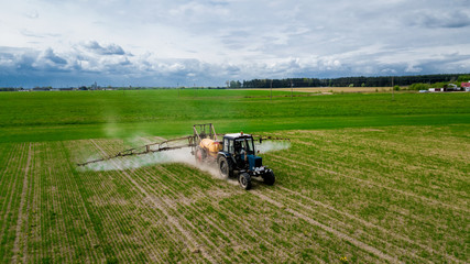 Fototapeta na wymiar Aerial view, Farmer on a tractor with a sprayer makes fertilizer for young vegetables