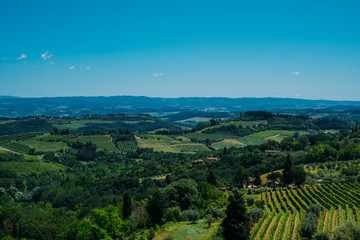 Fototapeta na wymiar Beautiful landscape of vineyards. Chianti region in summer season. View of countryside and chianti vernaccia vineyards from San Gimignano. Tuscany, Italy, Europe. Summer, holiday, traveling concept.