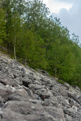 Mountainside in stones. View of the mountainside in stones near the checkpoint in the Lago-Naki Caucasian Reserve. Trees in the forest grow on a mountainside on a summer day. Western Caucasus, Adygea,