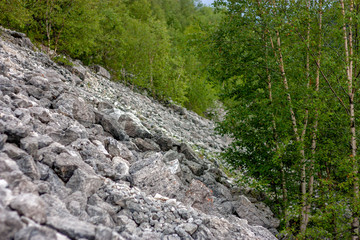 Mountainside in stones. View of the mountainside in stones near the checkpoint in the Lago-Naki Caucasian Reserve. Trees in the forest grow on a mountainside on a summer day. Western Caucasus, Adygea,