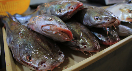 Freshly caught fish piled up in stacks on the market, ready to be sold