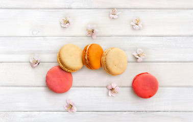 Colorful macarons cookie, flowers apricot tree on background of white painted wooden planks. Top view, flat lay