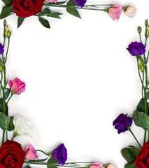 Frame of violet, white, pink and red flowers Eustoma ( Texas bluebells, bluebell, lisianthus, prairie gentian ) and red rose on a white background with space for text. Top view, flat lay