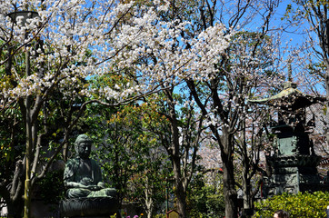 Garden with Buddha