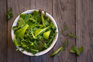 Fresh vegetable salad with arugola and other leaves on dark wood