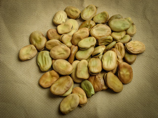 Close up of broad beans (Vicia faba) on brown background. High view