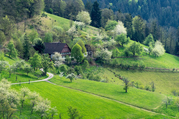 Schwarzwaldhof bei Ottenhöfen