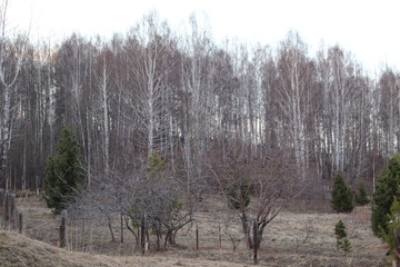 природа урала