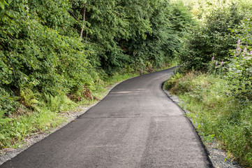 Fototapeta na wymiar Small road with freshly laid asphalt.