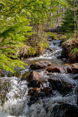 Fototapeta premium am Fuße des Rachel
