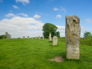 Details of stones and the environs in the Prehistoric Avebury Stone Circle, Wiltshire, England, UK