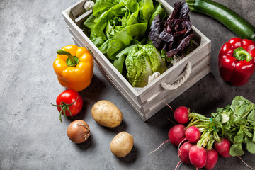 Fresh organic vegetables on rustic background