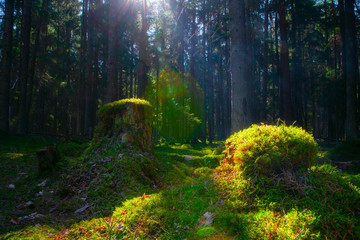 Spring landscape