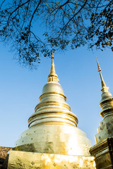 Fototapeta premium View of Wat Phra Singh with the golden pagoda, the popular historical landmark temple in Chiang Mai, Thailand