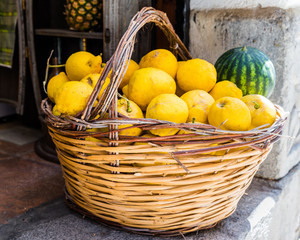 Korb mit Zitronen auf dem Markt von Cefalù; Sizilien