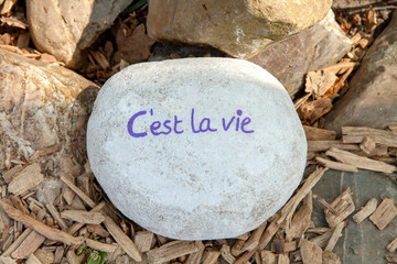 Stone with text C'est la vie