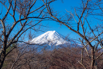 View of Mount Fuji, commonly called Fuji san in Japanese, Mount Fuji's exceptionally symmetrical cone, which is snow capped for about five months a year. It is a well known as the symbol of Japan.