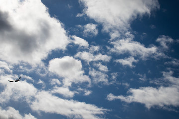 Fototapeta premium Fliegender Vogel vor Wolken Himmel