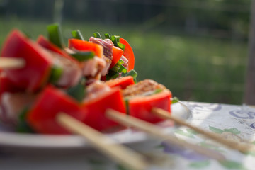 Close up pf delicious chicken breast on wooden skew with fresh vegetables, garlic, paprika fried on mangal barbeque grill and smoke