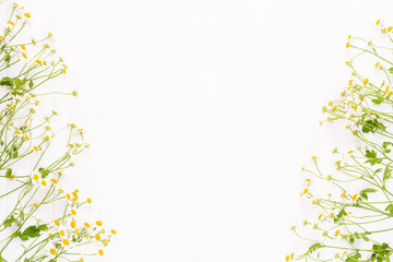 Chamomile flowers floral framee. Flat lay, top view.