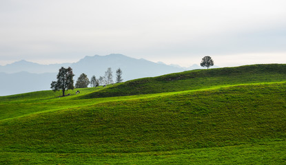 Rural scenery of Luzern, Switzerland