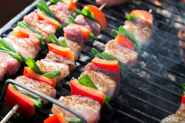 Close up pf delicious chicken breast on wooden skew with fresh vegetables, garlic, paprika fried on mangal barbeque grill and smoke