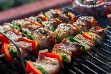 Close up pf delicious chicken breast on wooden skew with fresh vegetables, garlic, paprika fried on...