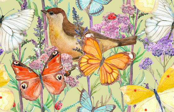 colorful seamless texture with meadow flowers, butterflies and pretty bird. watercolor painting