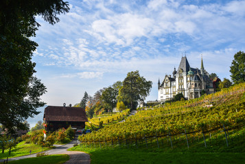 Meggenhorn Castle in Lucerne, Switzerland