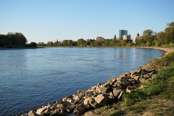 Fototapeta na wymiar Rhine river, view to Mannheim on a sunny day with blue sky, riverside of stones and green grass